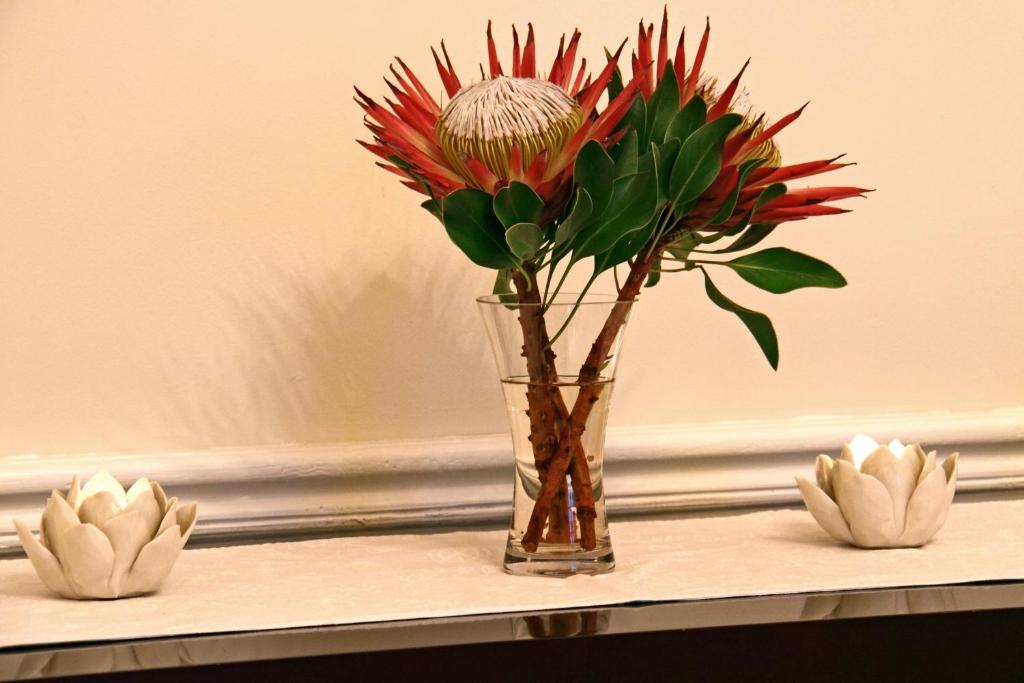 Nine Flowers Guest House Кейптаун Экстерьер фото